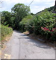 Down Brongwyn Lane, New Quay