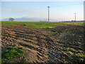 Farmland at Broadmire