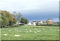 Farm buildings in the Bann Valley