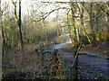 Path in Great Church Wood