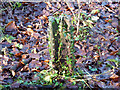 Rail post above Oxted Tunnel