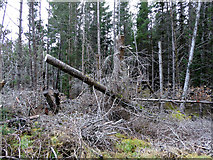 NC6836 : Forestry wreckage in the Naver Forest by John Lucas