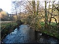 River Bray from Newtown Bridge