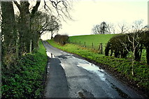 H5572 : Wet along Stoneleigh Road by Kenneth  Allen