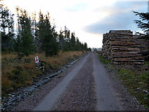 NC6835 : Forestry road through Bealach na Cloiche by John Lucas