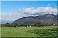 Towards Skiddaw