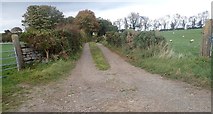 J2734 : Field access  lane running North from the Islandmoyle Road by Eric Jones