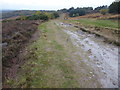 TQ4332 : Sandy track on the Ashdown Forest by Marathon