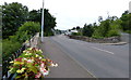 Riverside Road in Wormit