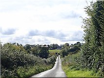 H9511 : Road descending towards Ballybinaby Bridge and Tawnamore Crossroads by Eric Jones