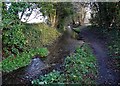 Brook and path just west of Belph