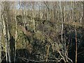 SK4450 : Rocky outcrop, Erewash Meadows Local Nature Reserve by Alan Murray-Rust