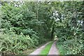 Path off the A272, Strood Green