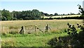 View across Swallowtail Farm, Beckly