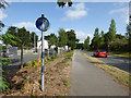 Shared use path alongside Cypress Avenue