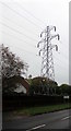 Electricity pylon near Morriston Hospital, Swansea