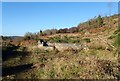 Improvised seat in a forest clearing in the Slieve Gullion foothills