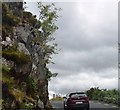 V8778 : Rock cliff by N71 by N Chadwick