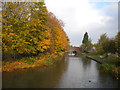 Wednesbury Oak Loop, Bradley (1)