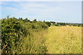 Footpath along field boundary