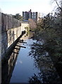 The River Dour, Dover