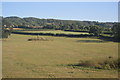 North Somerset pasture