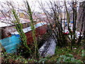 Vigorous Nant Cylla, Ystrad Mynach