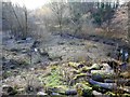 Former reservoir, Rouken Glen Park