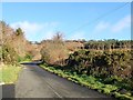 Approaching a side entrance to the Slieve Gullion Forest Park along Forest Road