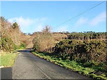J0118 : Approaching a side entrance to the Slieve Gullion Forest Park along Forest Road by Eric Jones