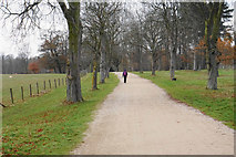 SP6736 : Path to Stowe House by Bill Boaden