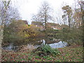 Pond in the Church Garden, Beeford