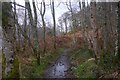 NN3406 : West Highland Way, Stuikiruagh by Richard Webb