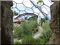 SX0454 : Eden Project - view within the Mediterranean biome  by Stephen Craven