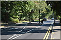 Traffic calming, Dennis Lane