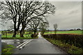 H5170 : Dryarch Road, Lisboy by Kenneth  Allen