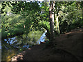 River Wensum near Marriott