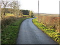 Minor road heading towards Barebottom Plantation