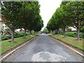 Ayr Cemetery