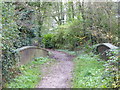 Footpath bridge over the stream at Winslade Park