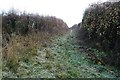 Bridleway at Brokenborough