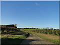TF9741 : Haystack Lane (Track) at Binham by Adrian S Pye