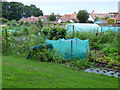 Allotments at Craigie Park