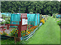 Allotments at Craigie Park