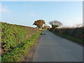 The road towards the A442