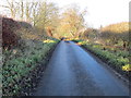 Hedge-lined minor road heading towards Fairnington