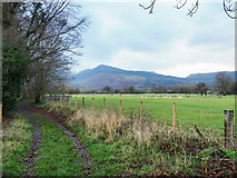 NY2524 : Farm road and footpath at Crossthwaite by Trevor Littlewood