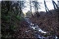 Mineral Loop trackbed, Moseley Green