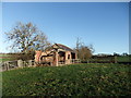 Collapsing barn by the Centenary Way