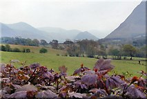 NY1716 : Fields between Buttermere and Crummock Water by Peter Jeffery